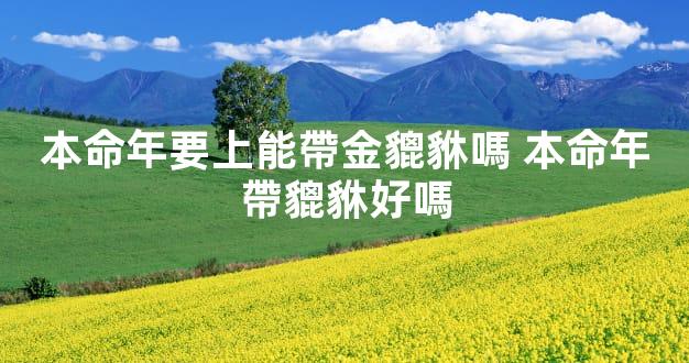 本命年要上能帶金貔貅嗎 本命年帶貔貅好嗎